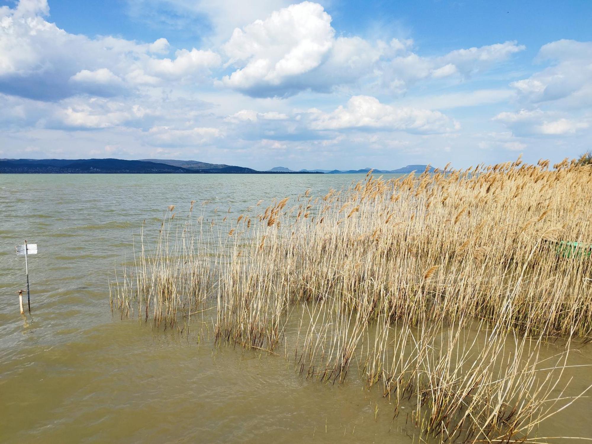 Margareta Etterem Es Vendeghaz Gasthaus Balatonberény Dış mekan fotoğraf